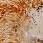 Une prise de note qui casse la barre !