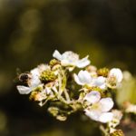 OpenAI a-t-il trouvé le bon équilibre entre efficacité et convivialité dans GPT-5 ?