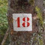 La Lune, simple astre ou miroir de nos rythmes oubliés ?