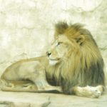 Des phases lunaires aux cycles marketing : la tech tourne-t-elle toujours dans le bon sens ?