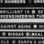 Faux cuir, vrais robots et playlists sans frontières : la vie, mode « automatique »