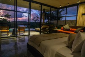 Supernovaissance : Quand les étoiles prennent la tangente