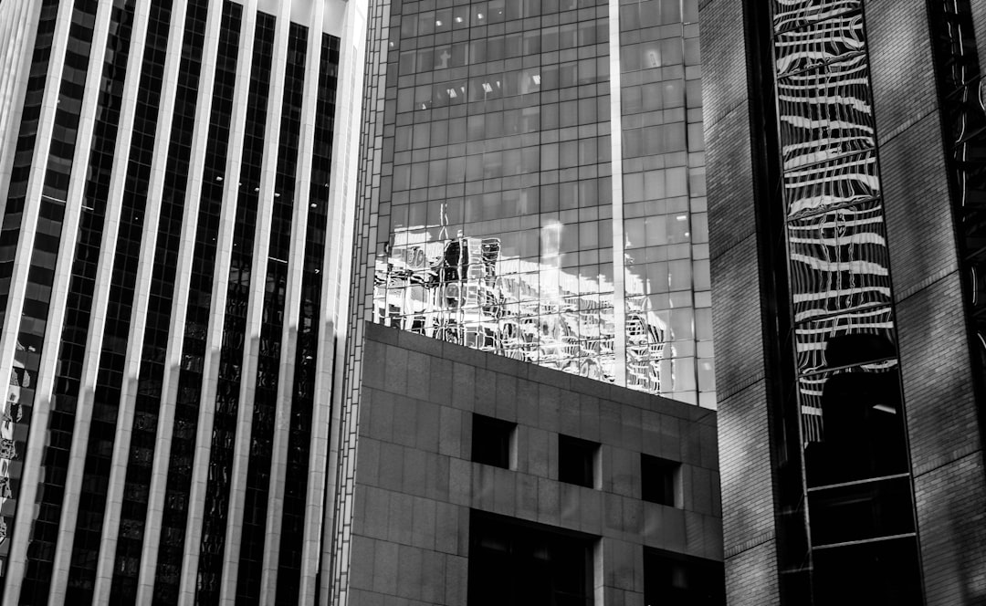 a reflection of a building in a window