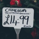 La dépendance des startups au gouvernement américain : moteur ou frein pour la tech ?