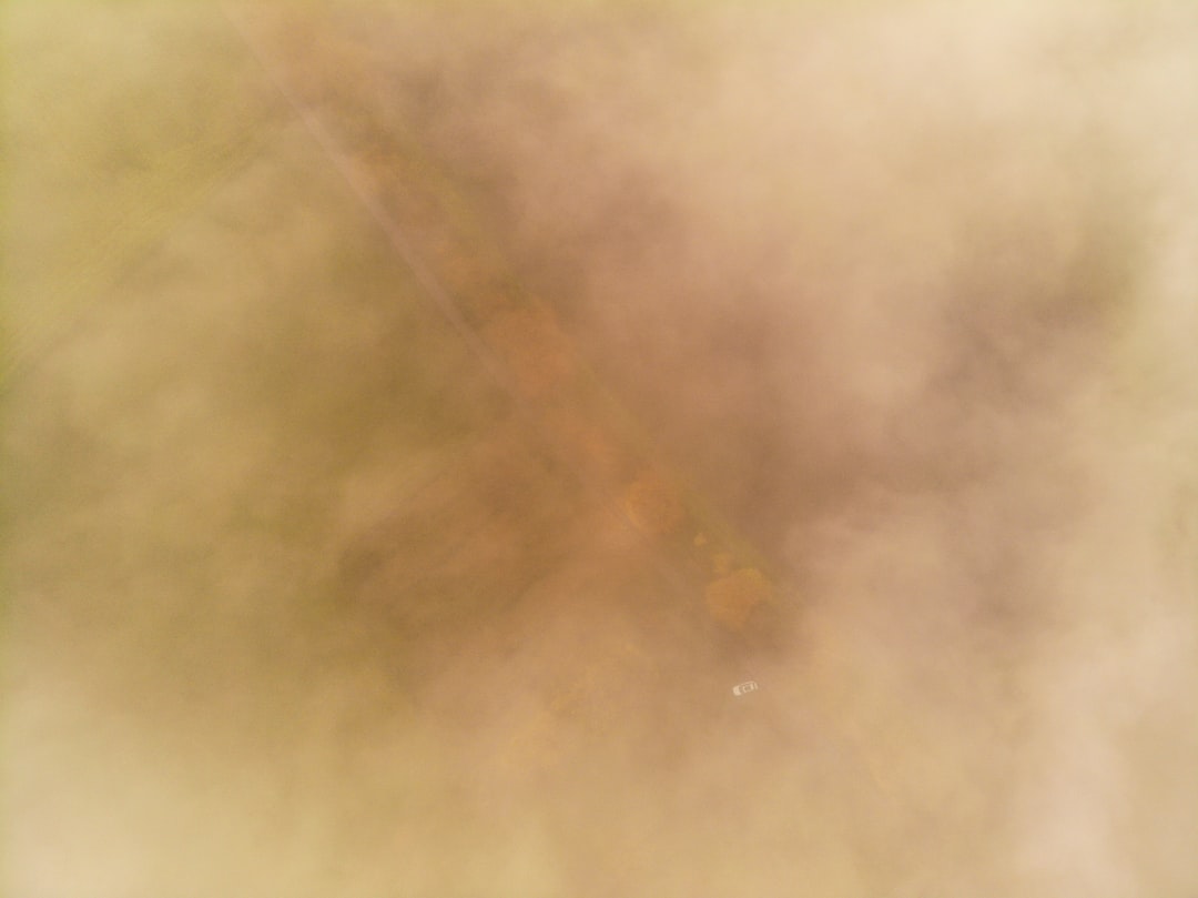 a blurry image of a bird