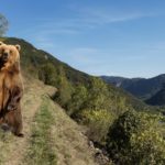 ChatGépenOS : l’IA met son app’ dans votre système