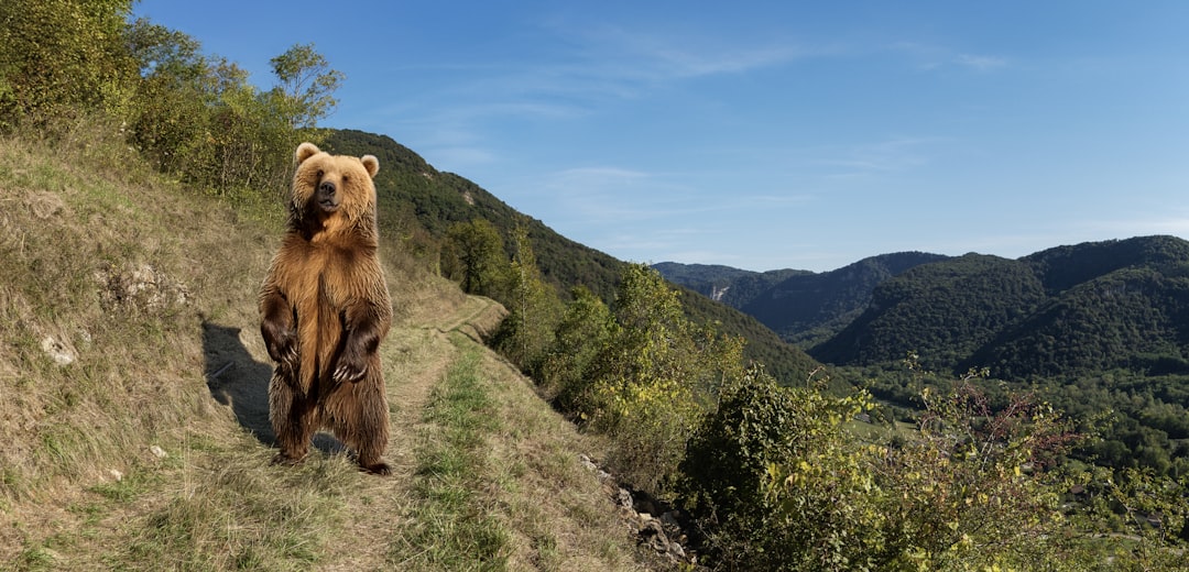 L’IA va-t-elle enfin permettre à la fusion nucléaire de devenir une réalité ?