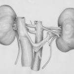 Siri, pomme d’IA : bientôt croquer du neuf !