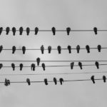 Des phases et des lumières : la lune n’a pas fini de nous en montrer !