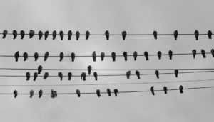 Internet social : la promesse de la portabilité entre Mastodon et Bluesky tiendra-t-elle toutes ses promesses ?