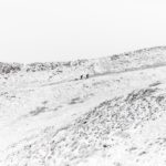 Waymo solo ? La Route est encore pleine de surprises !