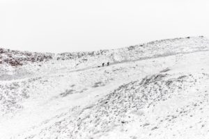 Cash-pitalisme : Plus on en met, moins ça pousse !