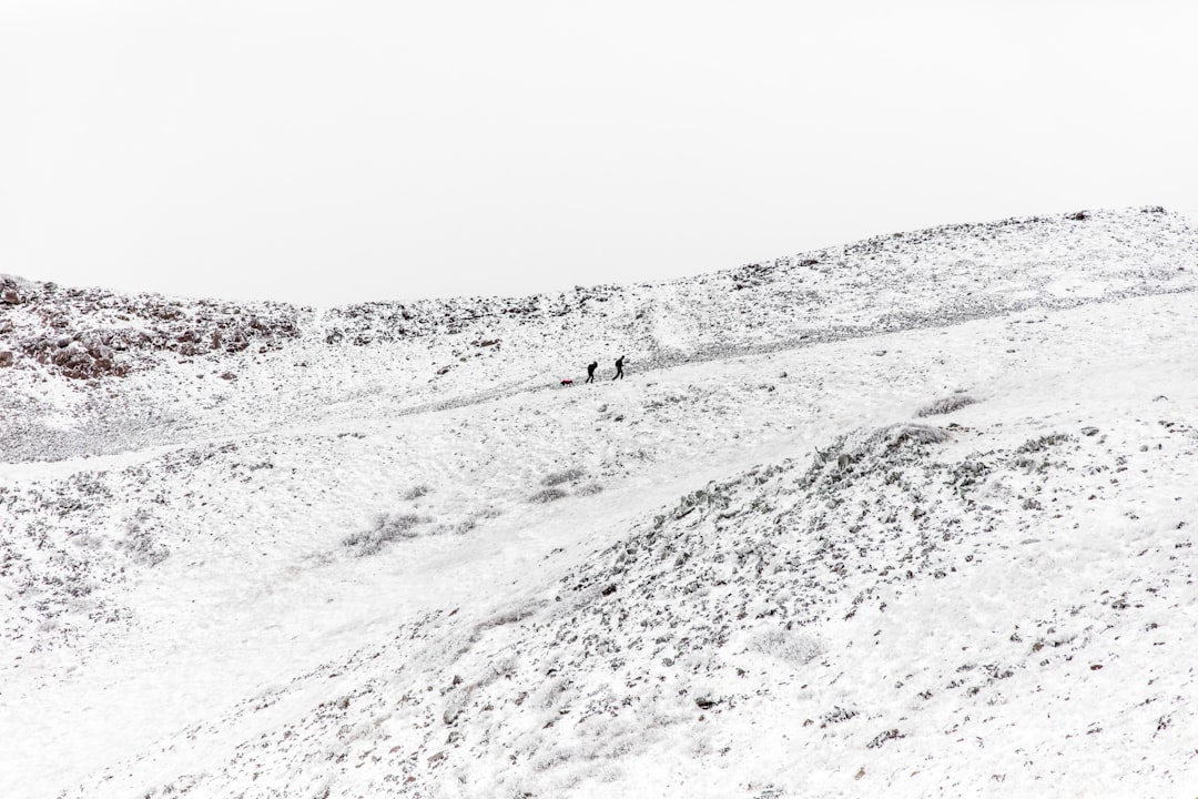 Cash-pitalisme : Plus on en met, moins ça pousse !