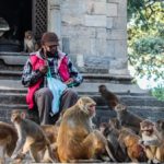 Le face-à-face entre Silicon Valley et législateurs locaux sur l’IA peut-il tourner à l’avantage du citoyen ?