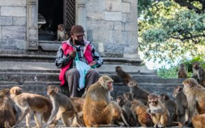 Recommand’Action : Quand YouTube passe vos envies à la moulinette