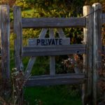 Focus Friend : simple phénomène ou début d’une révolution anti-addiction dans nos applis ?