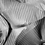 Quand la Tech se Parodie Elle-Même : IA, Bal des Milliardaires et Drames de la Rencontre Numérique