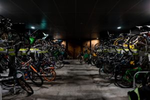 PicSee : la révolution du partage photo ou une illusion de vie privée ?