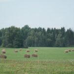 Le laser qui valait 150 millions : chips ou double ?