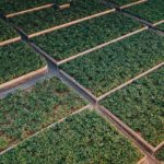 Du chatbot au drone : le bruit de fond de la paranoïa technologique