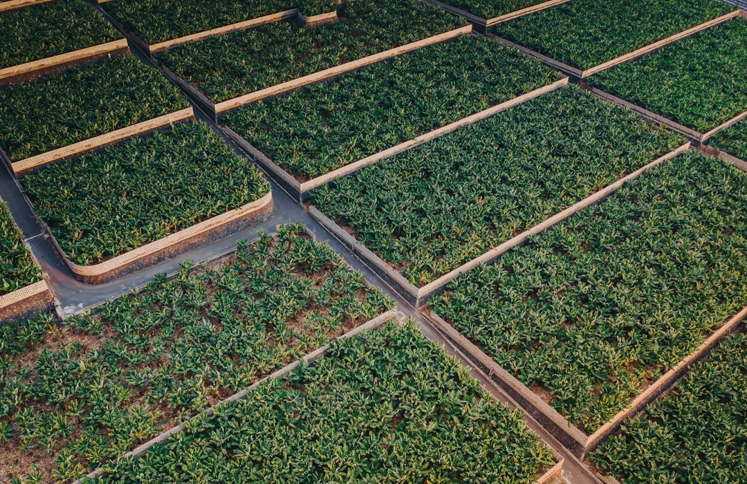 Carbone à récolter, financiers à semer : la régénération, c’est dans la poche !