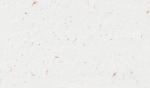 L’essor des cachemires recyclés : la mode peut-elle être éthique et abordable grâce à l’intelligence artificielle ?