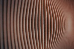 Des Voix et Dévices : Quand la Tech Fait Bouger les Tympans