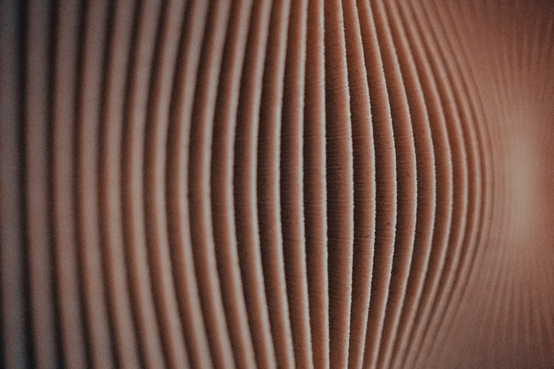 Des Voix et Dévices : Quand la Tech Fait Bouger les Tympans