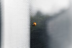 Window-soucis : Un clic et tout s’affiche !