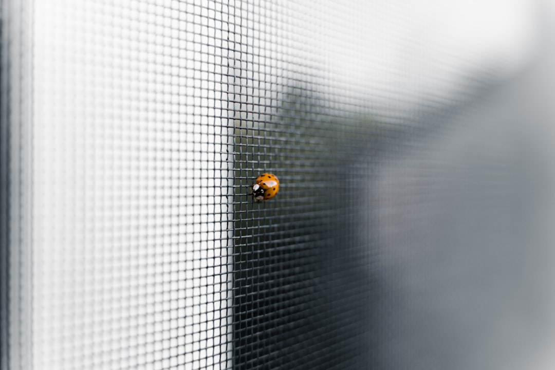 Window-soucis : Un clic et tout s’affiche !