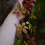 Badge, burn-out et bottes d’IA : la tech en quête de son double fantôme