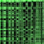 L’algorithme, le panier et la facture – 2026 ou la revanche des marchands de puces