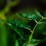 La promesse de confidentialité des apps de messagerie est-elle crédible ?