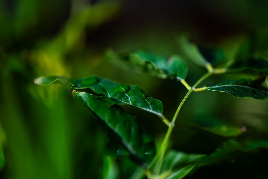 L’IA va-t-elle transformer l’automobile… ou juste les profits de Ford ?