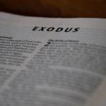 La priorité d’Elon Musk : l’IA au service des gamers, un virage stratégique ou une impasse ?