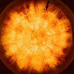 Duels de Codes : Quand les Bots Sortent les Griffes