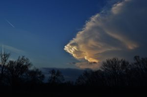 Prévisions, précisions et arc-en-ciel : Acme Weather fait pleuvoir les bonnes idées !