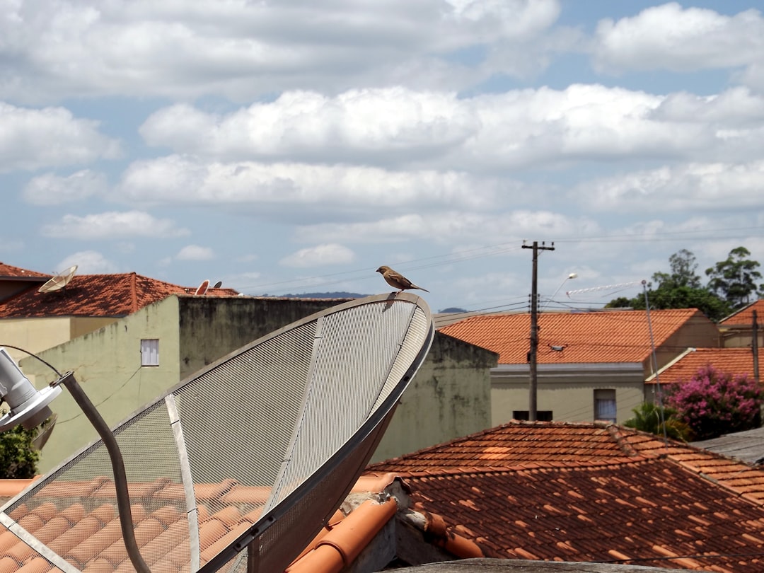 Mangeoire connectée : gazouillis sous surveillance !