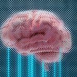 La guerre des fourchettes : Data, dollars et domination à tous les étages