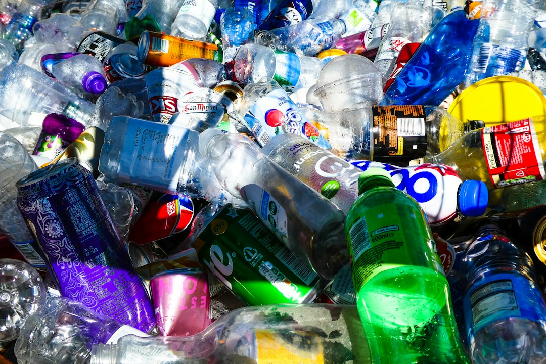 Meta(morphose) : quand plastique et crédits font un carton!